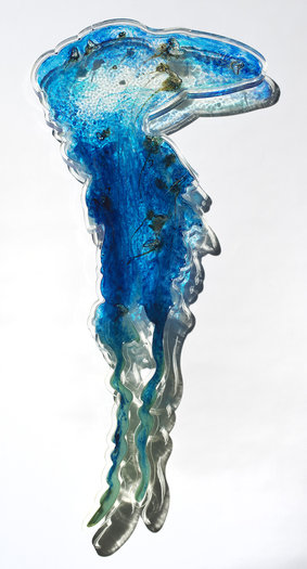 Blow In (2), 2015. Bluebottles, pigment and phosphorescent powder in resin on perspex. 112 x 52cm