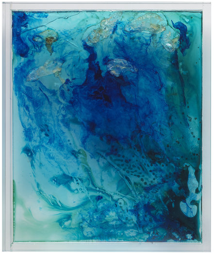 Bluebottles 1, 2013. Dead Bluebottles cast in pigmented resin on Perspex. 25 x 32cm.