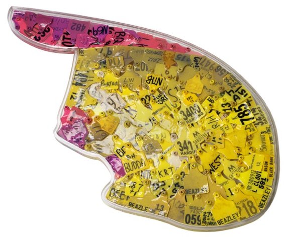 Capote, 2015. Bull ear tags in resin on Perspex. 110 x 66cm.
