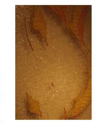 Fish, 2008. Oil on fish oil capsules in resin on perspex. 58 x 82cm.