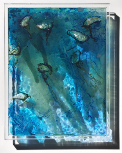 Moody blue, 2015. Bluebottles, pigment and phosphorescent powder in resin on perspex.  25 x 32cm. 