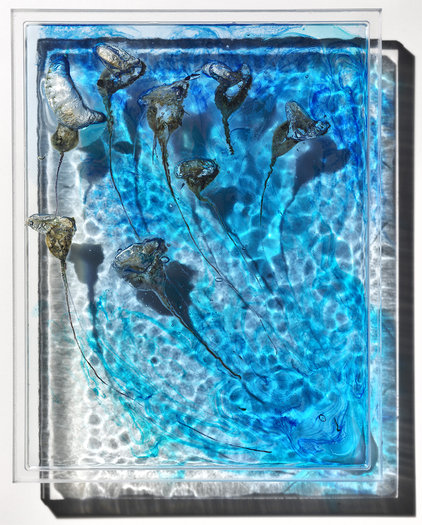 The Drifters, 2015. Bluebottles and pigment in resin on perspex.  25 x 32cm.