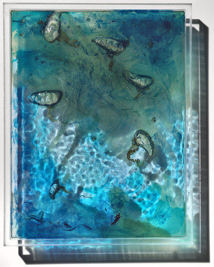 The Invaders, 2015. Bluebottles, pigment and phosphorescent powder in resin on perspex.  25 x 32cm.