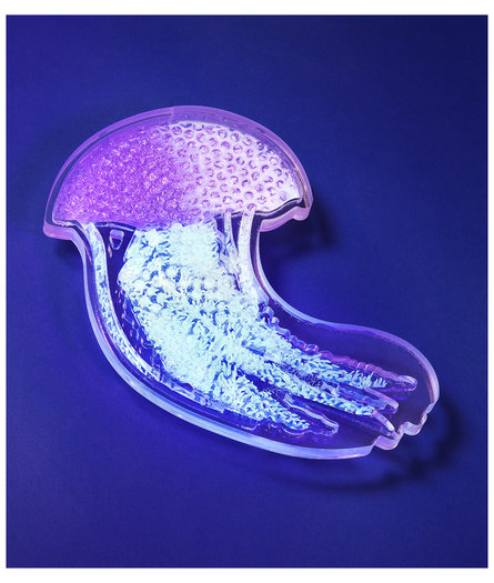 , <em>Translucent Jellyfish</em>, 2013 - Clear silicone breast implant, plastic and packaging plastic cast in resin on Perspex. 60 x 40cm.

<em>Purple Jellyfish</em>, 2013 - Silicone breast implant and packaging plastic cast in UV sensitive resin on Perspex. 37 x 23cm.