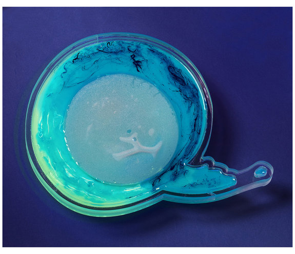 , <em>Bright like neon love: vibrant jellyfish</em>, 2013 - Silicone breast implant and pigmented, phosphorescent resin on Perspex. 30 x 20cm. 

<em>Clear silicon breast implant jellyfish</em>, 2013 - Clear silicone breast implant, plastic tape and pigmented, phosphorescent resin on Perspex. 25 x 20cm. 

<em>Jellyfish viewed from above</em>, 2013 - Silicone breast implant and pigmented, phosphorescent resin on Perspex. 30 x 23cm. 
